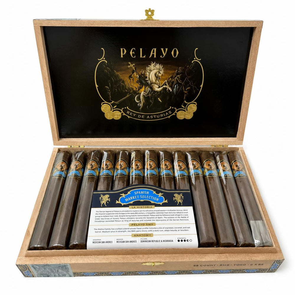 Casa Molina Pelayo SMS Toro AI product photo