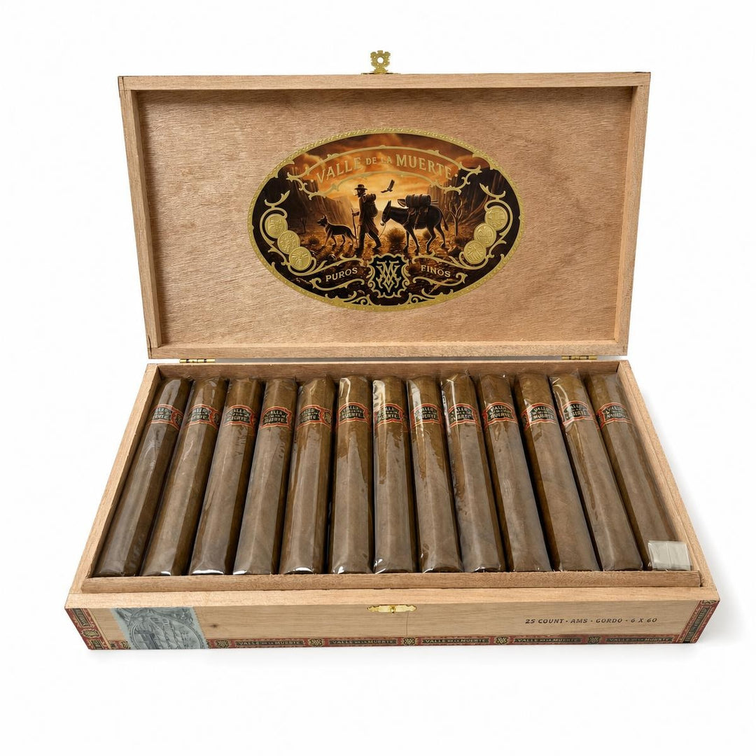 Casa Molina Valle de la Muerte AMS Gordo AI product photo