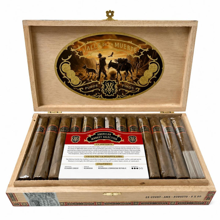 Casa Molina Valle de la Muerte AMS Robusto AI product photo