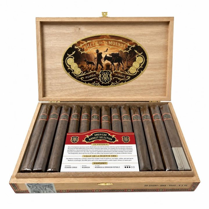 Casa Molina Valle de la Muerte AMS Toro AI product photo