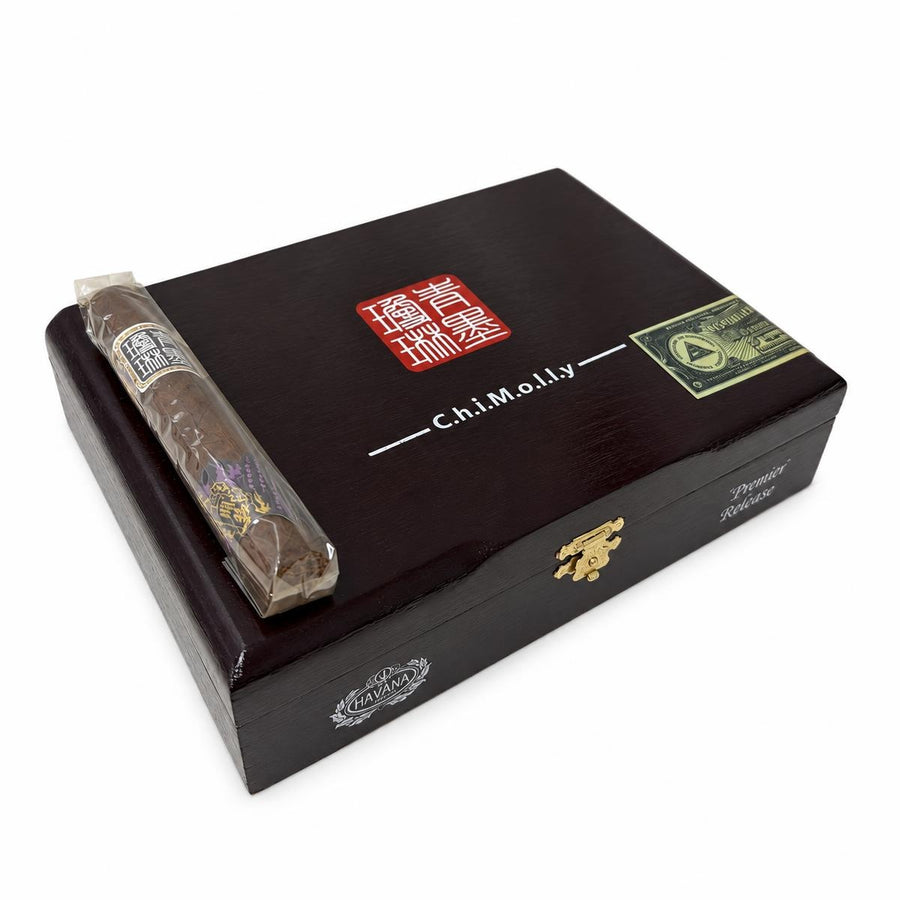 ChiMolly Pioneer Robusto AI product photo