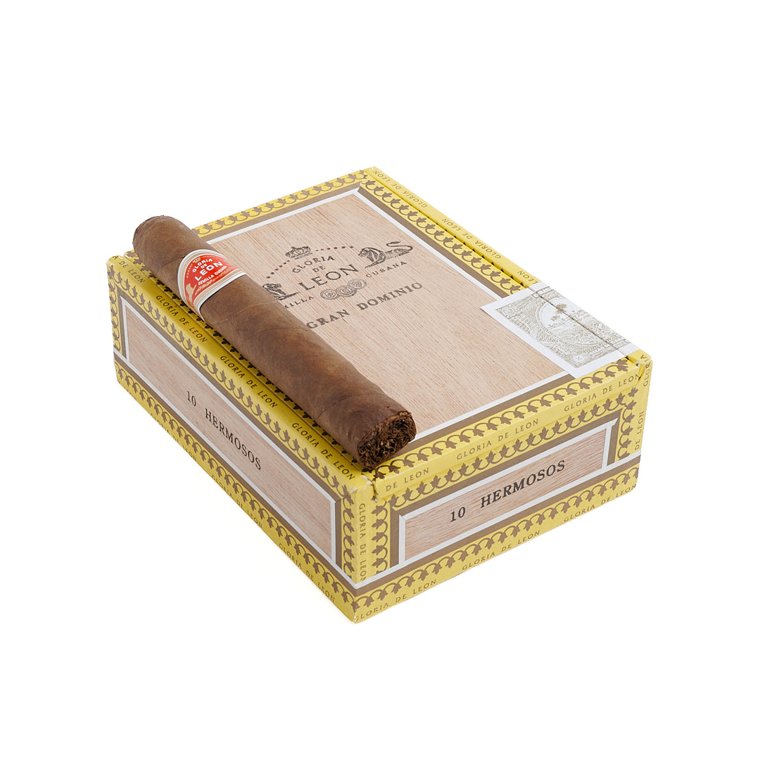 Curivari Gloria Leon Gran Dominio Hermosos Robusto