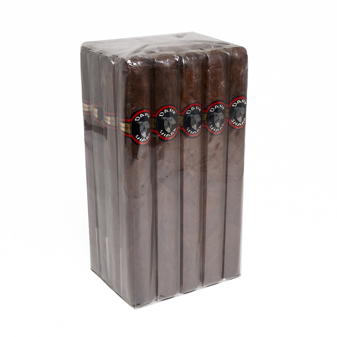 Dark Shark Churchill