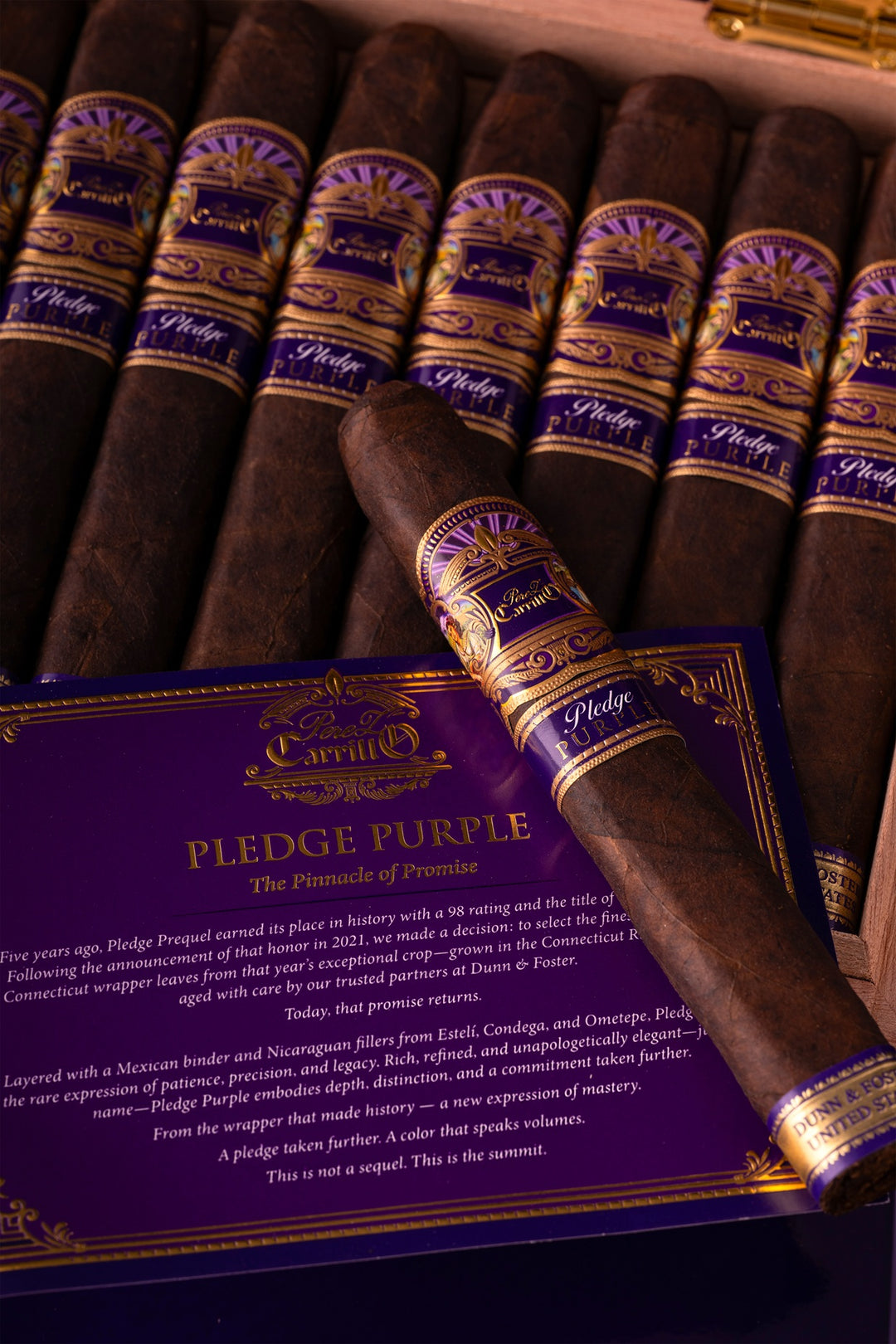 E.P. Carrillo Pledge Purple Toro
