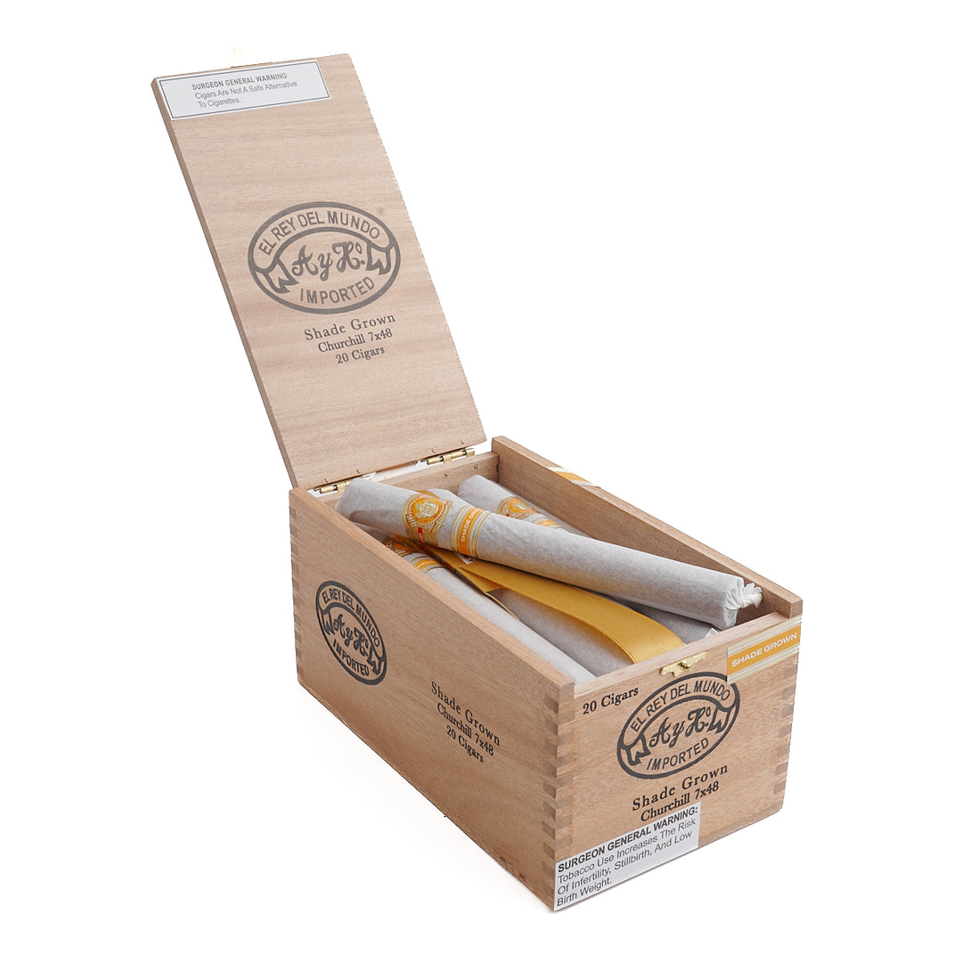 El Rey Del Mundo Shade Churchill