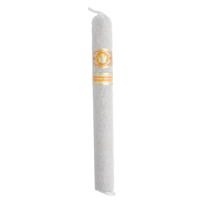 El Rey Del Mundo Shade Churchill