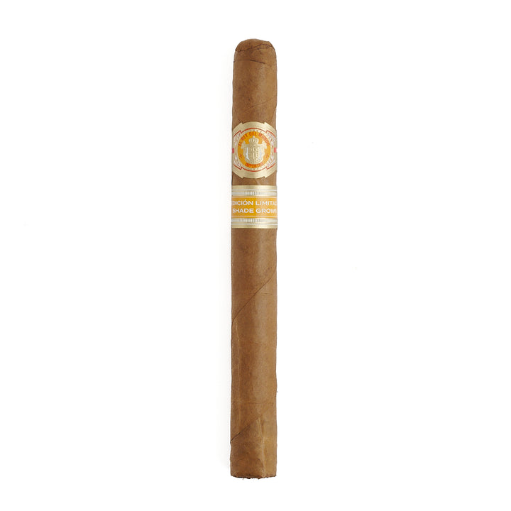 El Rey Del Mundo Shade Lonsdale
