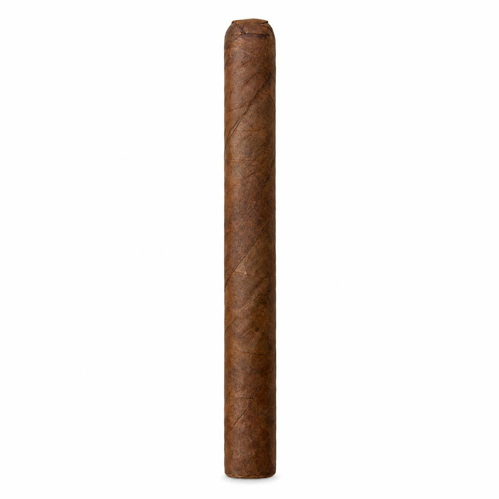 Everyday Churchill NAT AI product photo