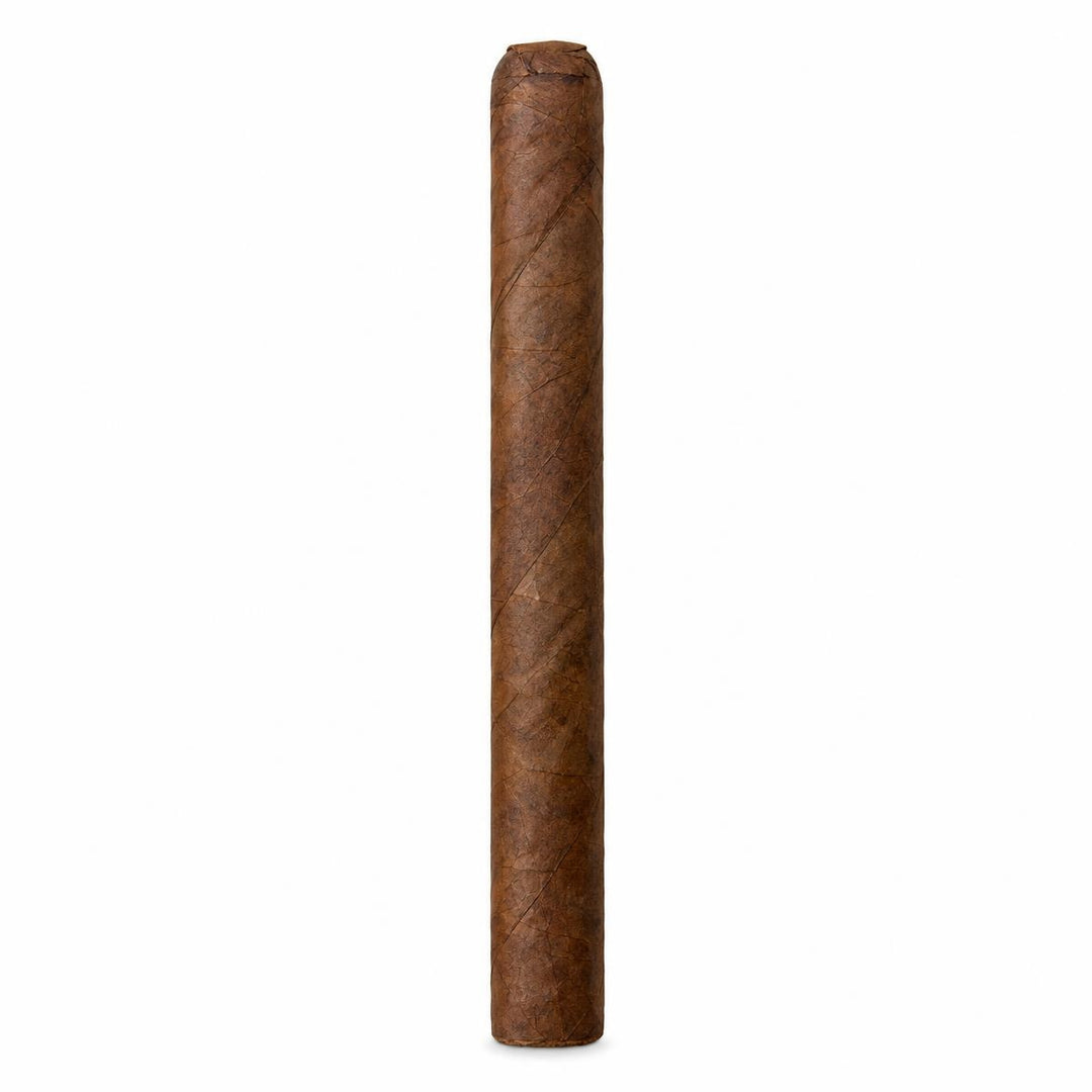 Everyday Churchill NAT AI product photo