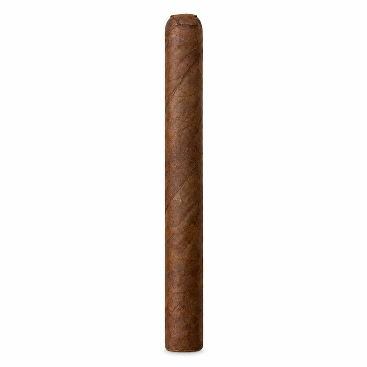Everyday Churchill NAT AI product photo