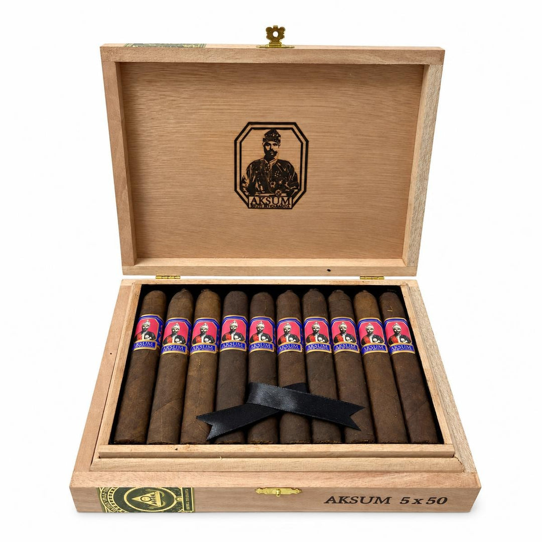 Foundation Aksum Maduro Robusto AI product photo