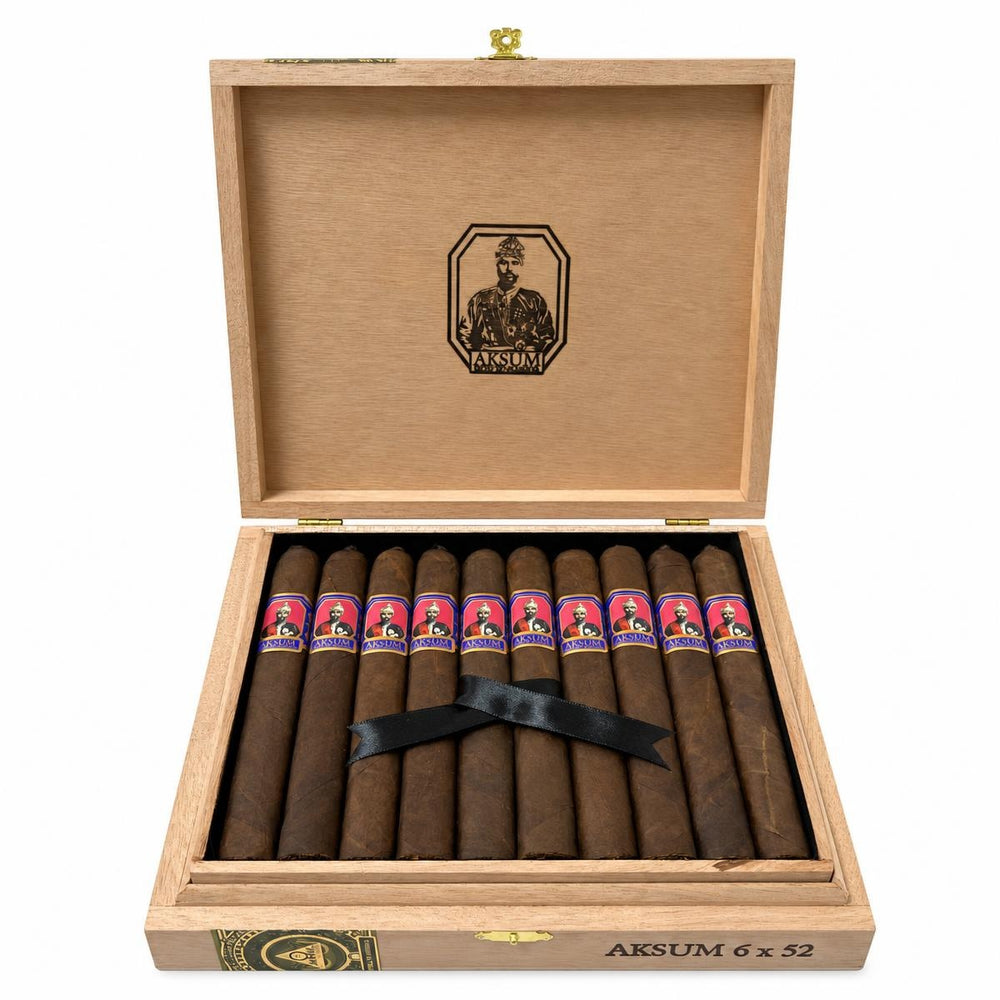 Foundation Aksum Maduro Toro AI product photo