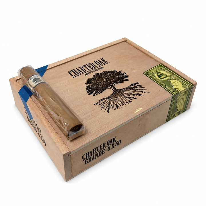 Foundation Charter Oak Shade Grande AI product photo