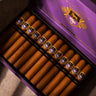 Gellis Family Saunter Robusto