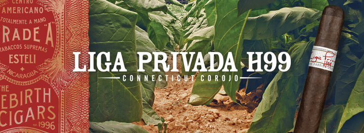 Liga Privada H99 Connecticut Corojo Corona Doble