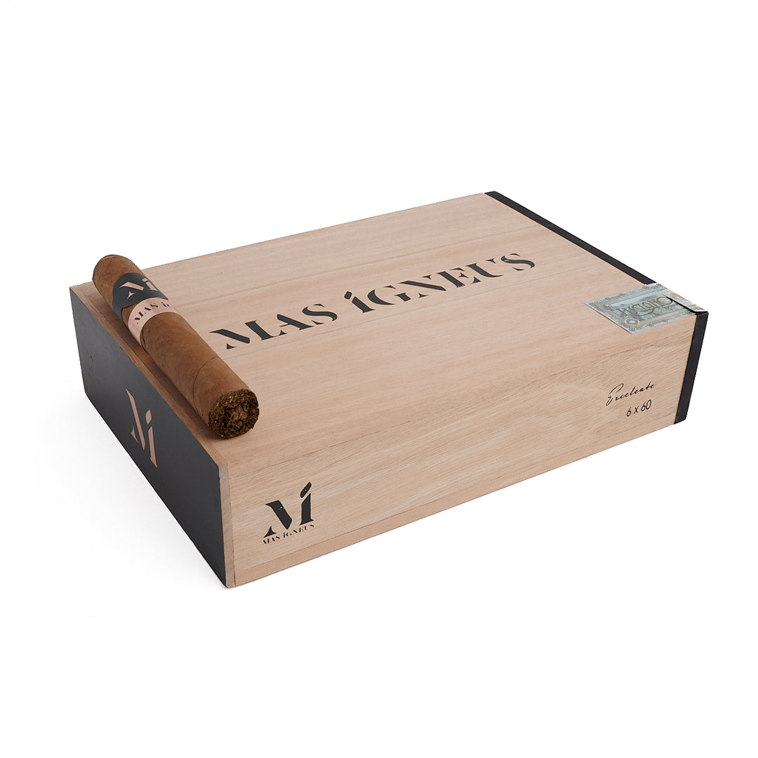 卢西亚诺火焰之家 出色