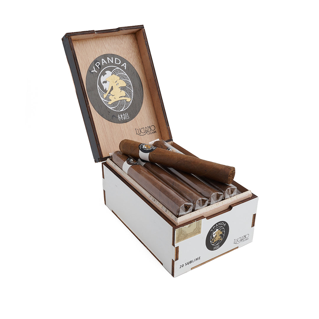 卢西亚诺X熊猫联乘大公牛