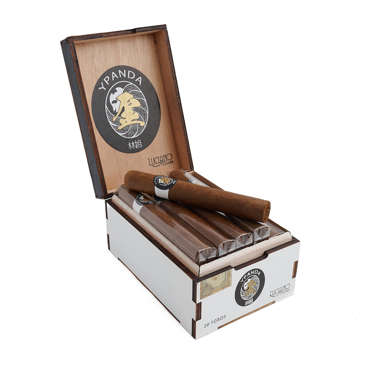 卢西亚诺X熊猫联乘公牛