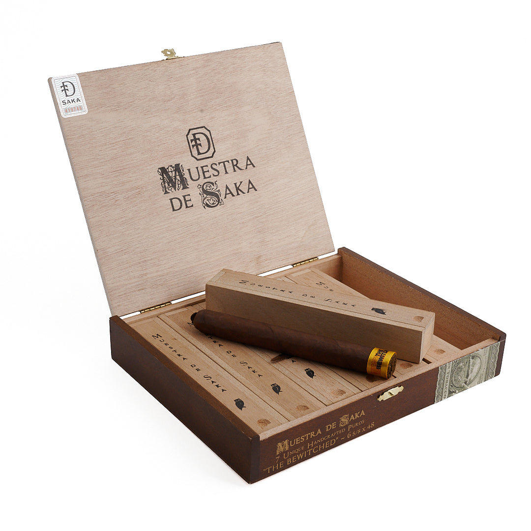 Muestra de Saka The Bewitched