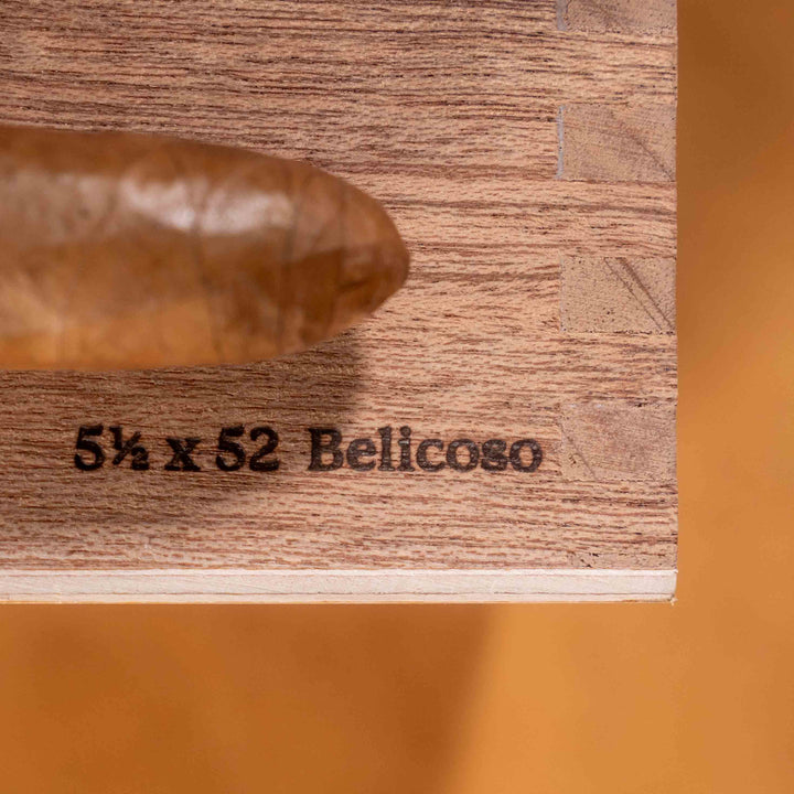 Placebo Belicoso