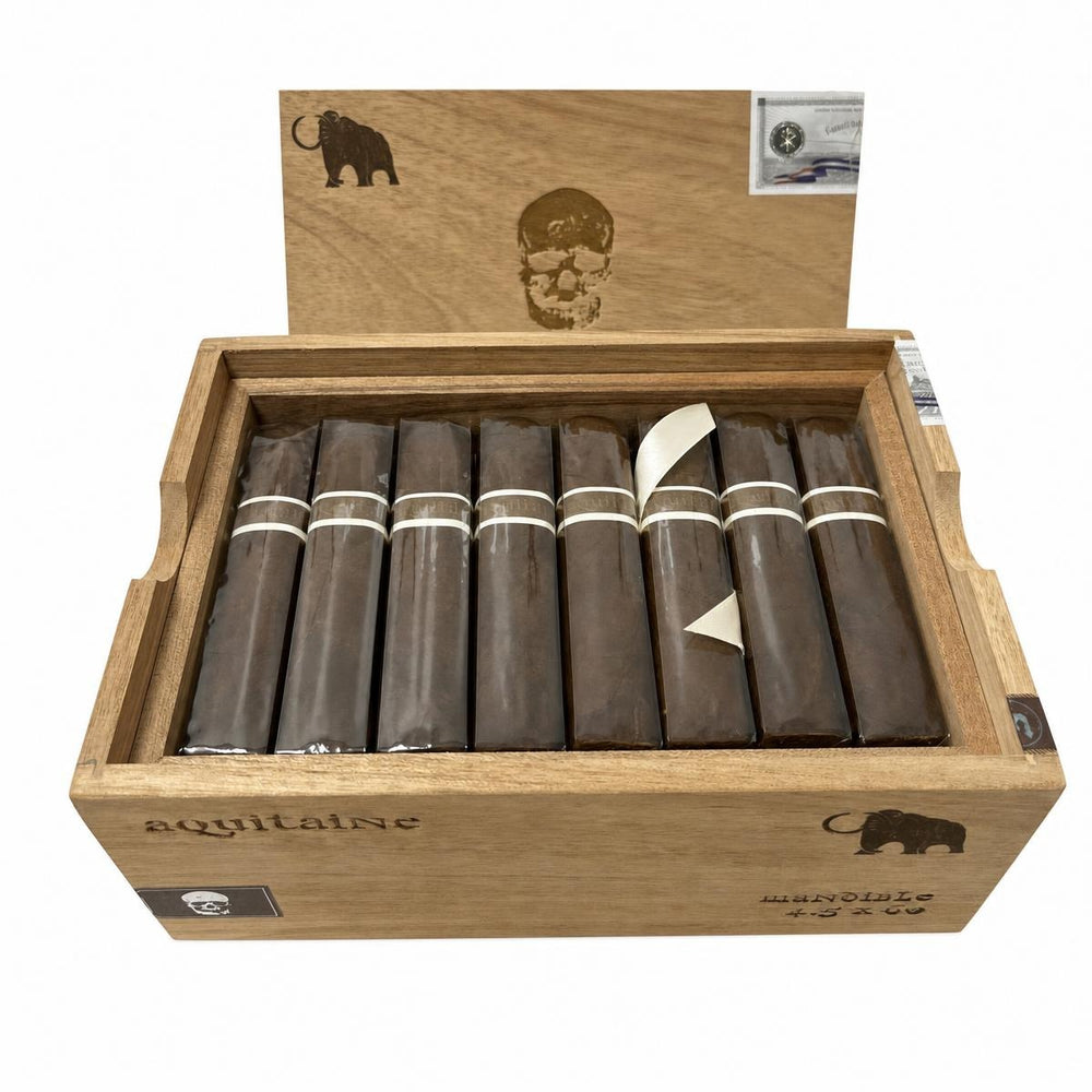 RoMa Craft CroMagnon Aquitaine Mastodon LE AI product photo