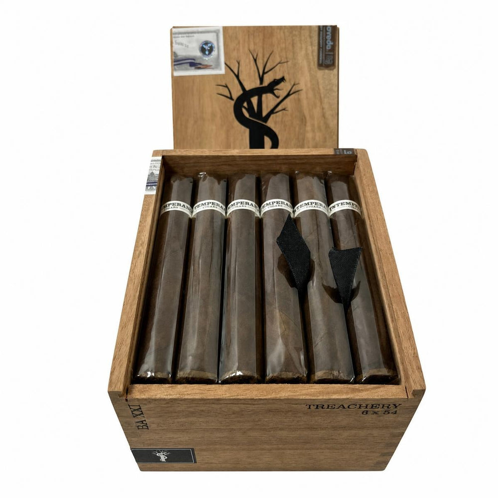 RoMa Craft Intemperance BA XXI Treachery AI product photo