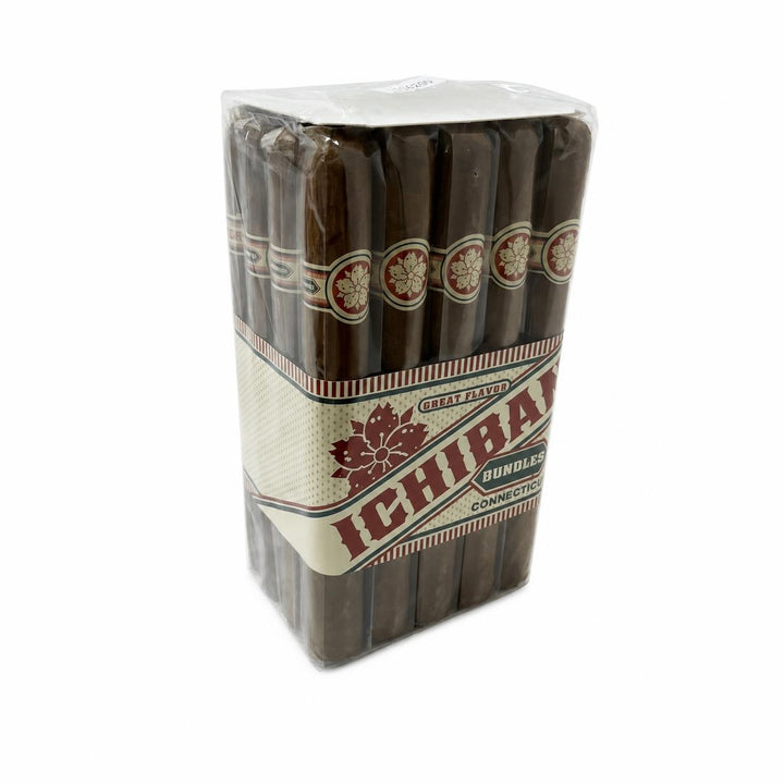 Room 101 Ichiban Connecticut Churchill AI product photo