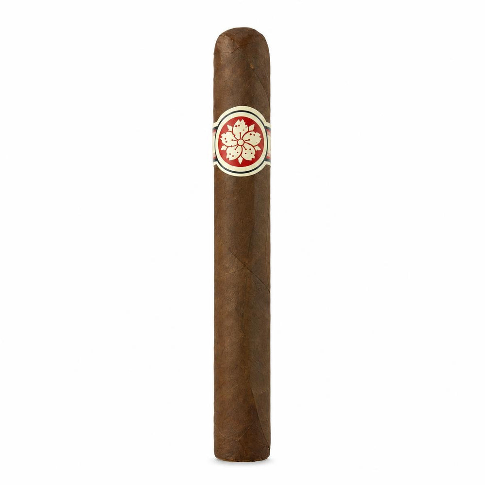 Room 101 Ichiban Connecticut Robusto AI product photo