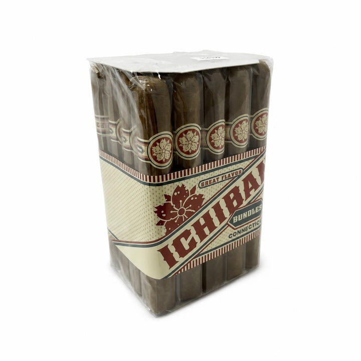 Room 101 Ichiban Connecticut Toro AI product photo