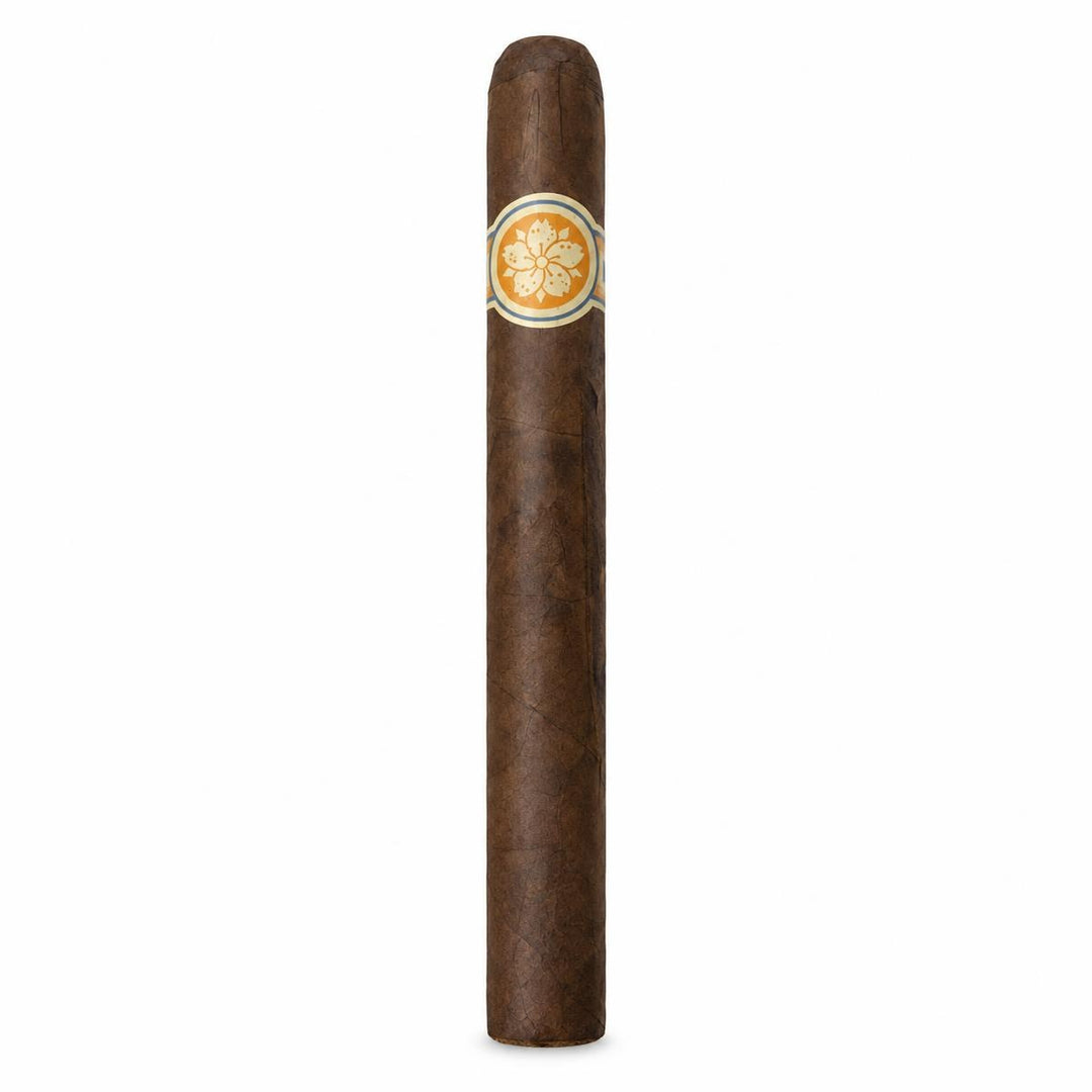 Room 101 Ichiban Maduro Churchill AI product photo
