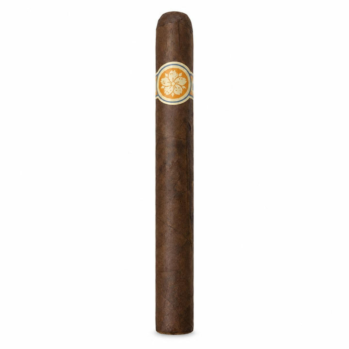 Room 101 Ichiban Maduro Churchill AI product photo