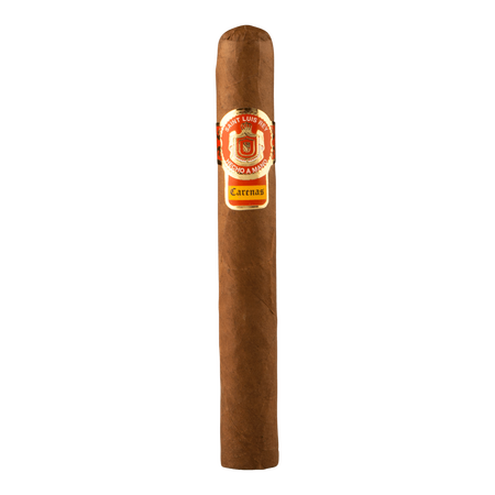 Saint Luis Rey Carenas Toro