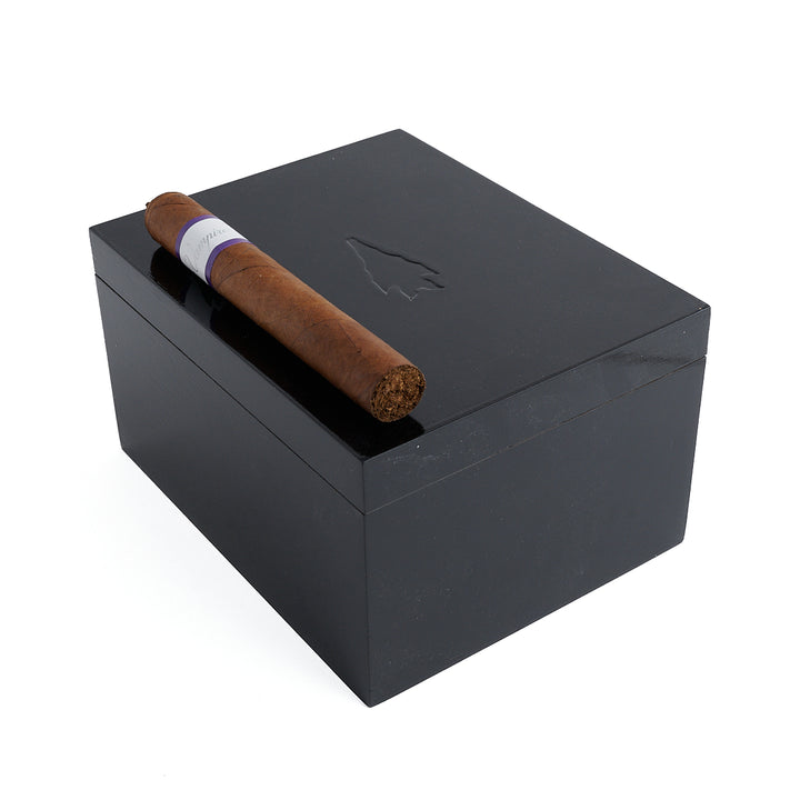 Viaje Vampire Dust Eternal Night