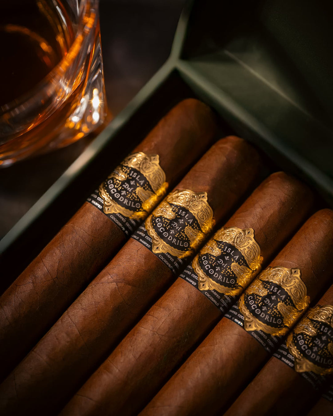 Warped Isla del Cocodrilo Robusto