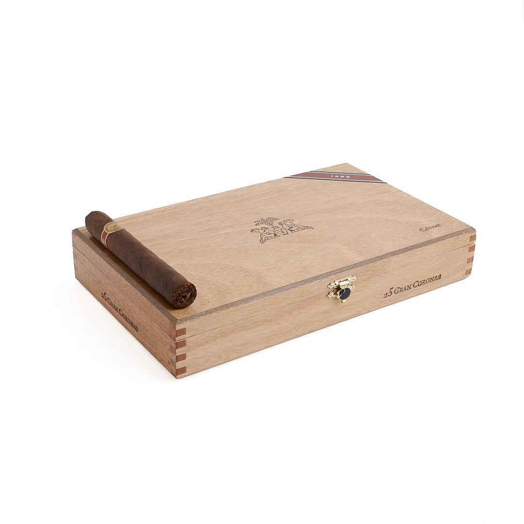 Warped冒险者1492丹.安德烈斯