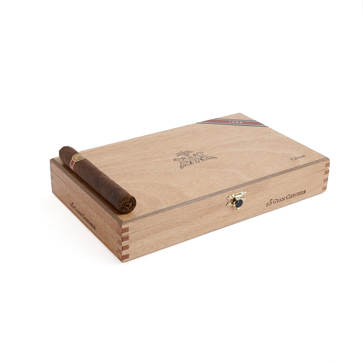 Warped冒险者1492丹.安德烈斯