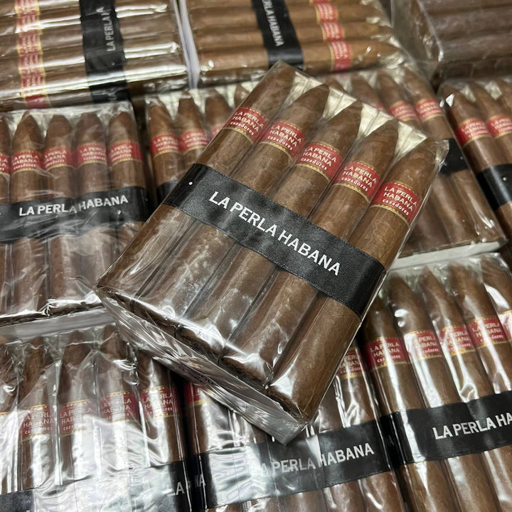 La Perla Habana Cazadores Torpdeo