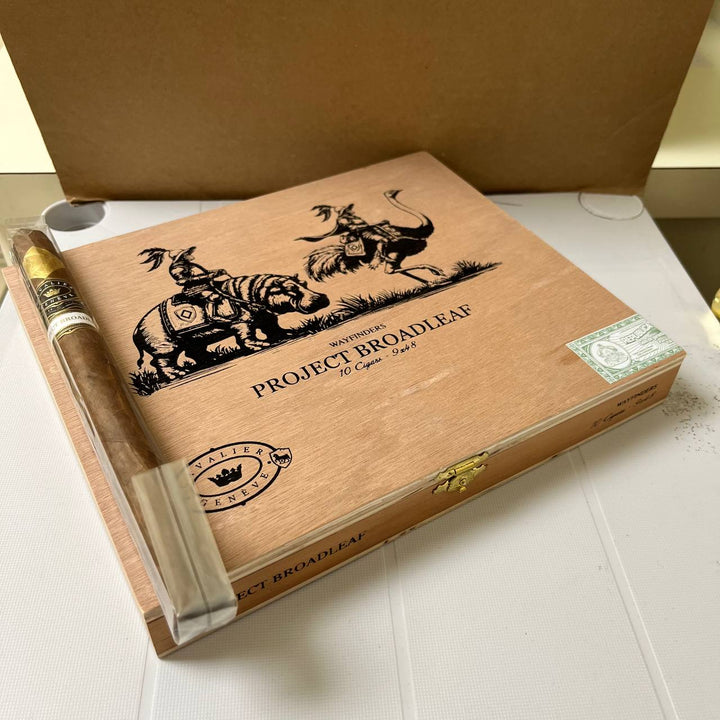 Cavalier Project Broadleaf #3B Wayfinders