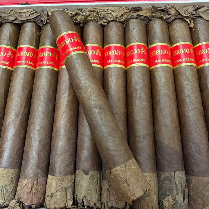 格兰哈瓦那 | #5 科罗霍帝王 ESC