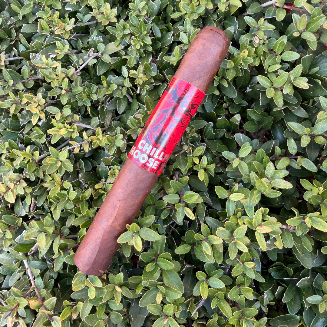 Chillin' Moose Too Toro