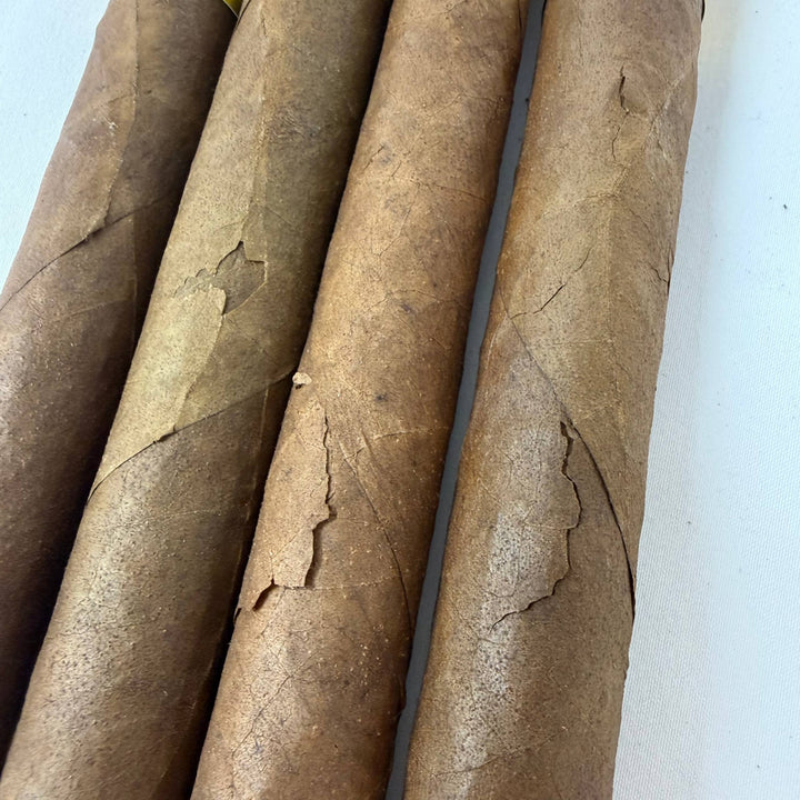 Cusano P1 Maduro Churchill -Damaged-