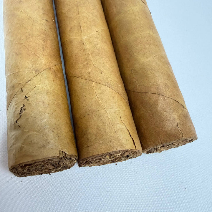 Drew Estate Factory Smokes Connecticut Shade Gordito -Damaged-
