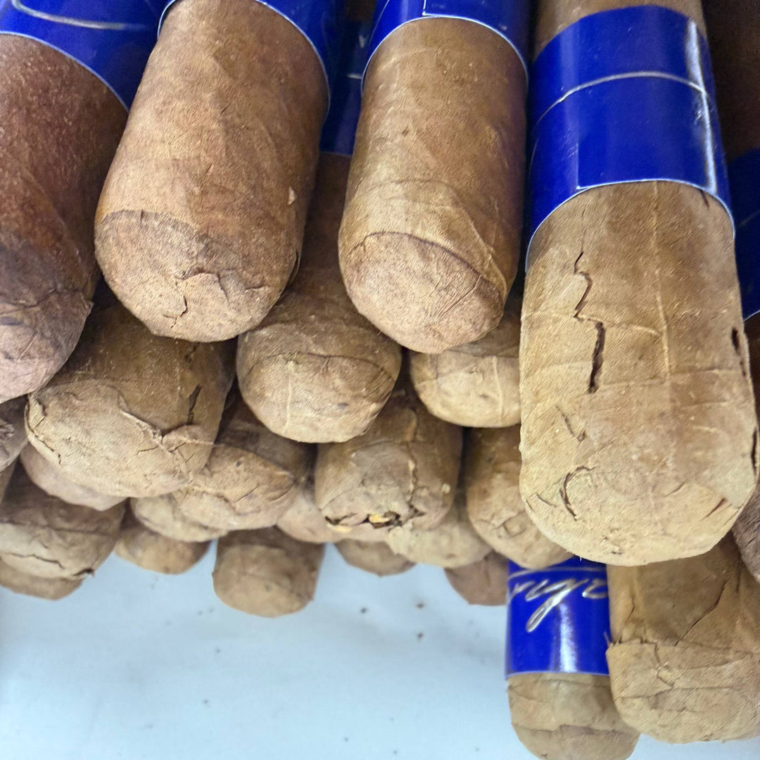 Bahia Blu B500 Robusto -Damaged-