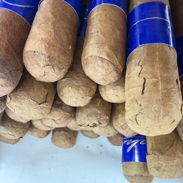 Bahia Blu B500 Robusto -Damaged-
