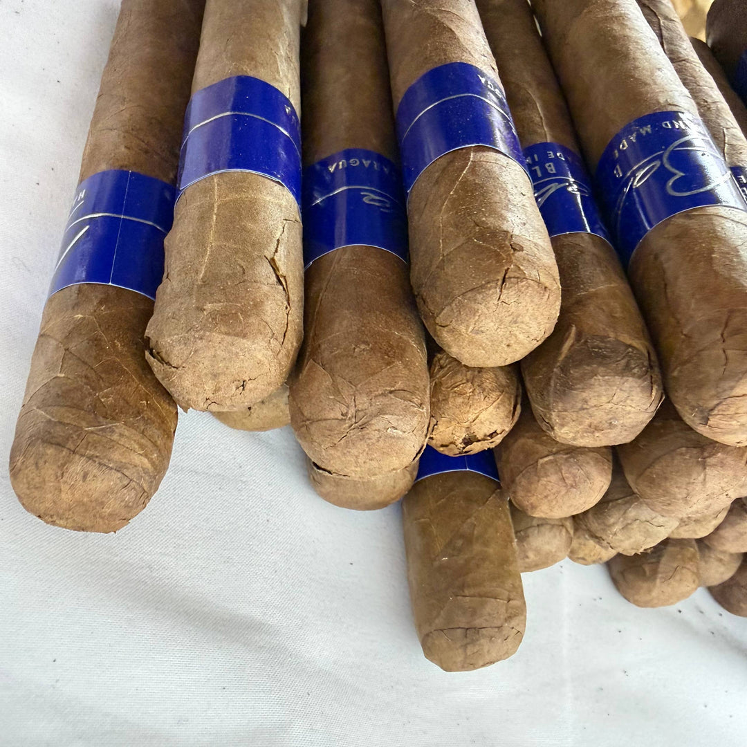 Bahia Blu B500 Robusto -Damaged-