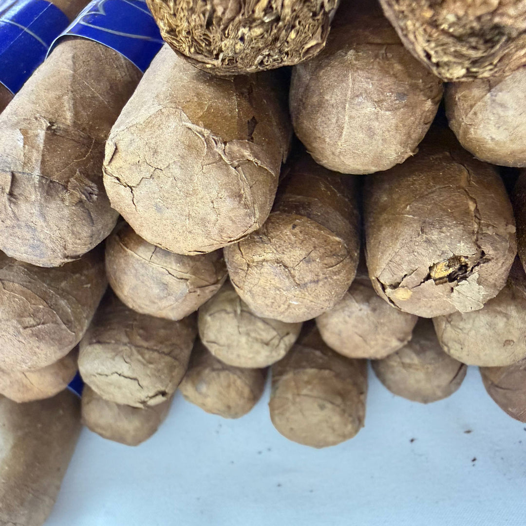 Bahia Blu B500 Robusto -Damaged-