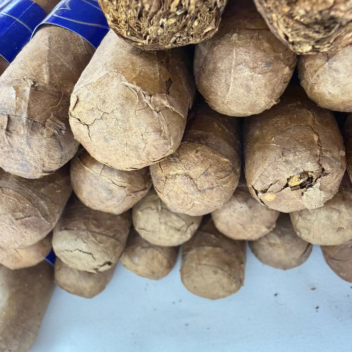 Bahia Blu B500 Robusto -Damaged-