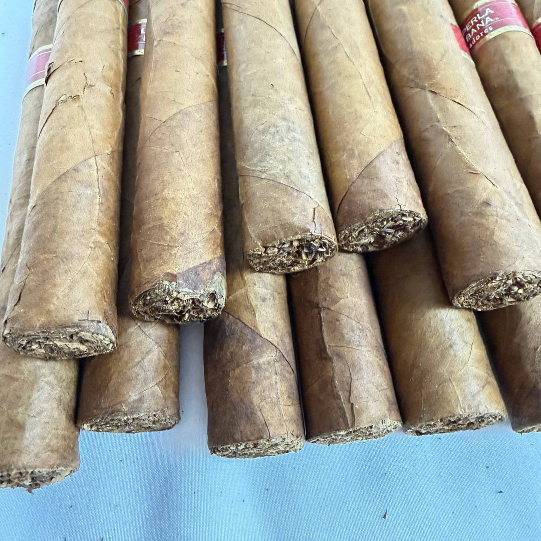 La Perla Habana Cazadores Toro -Damaged-