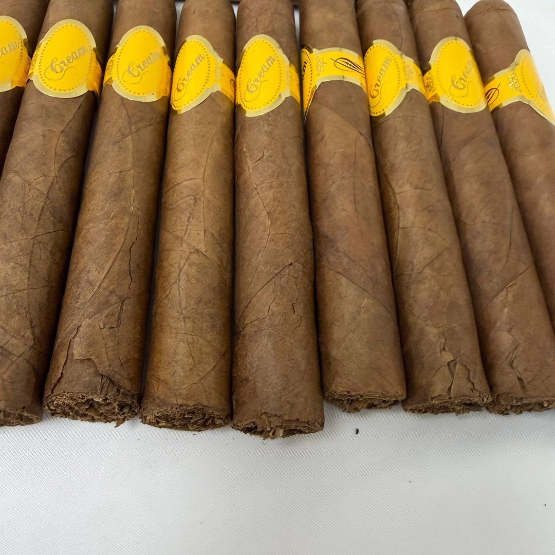 Dominican Cream Toro -Damaged-