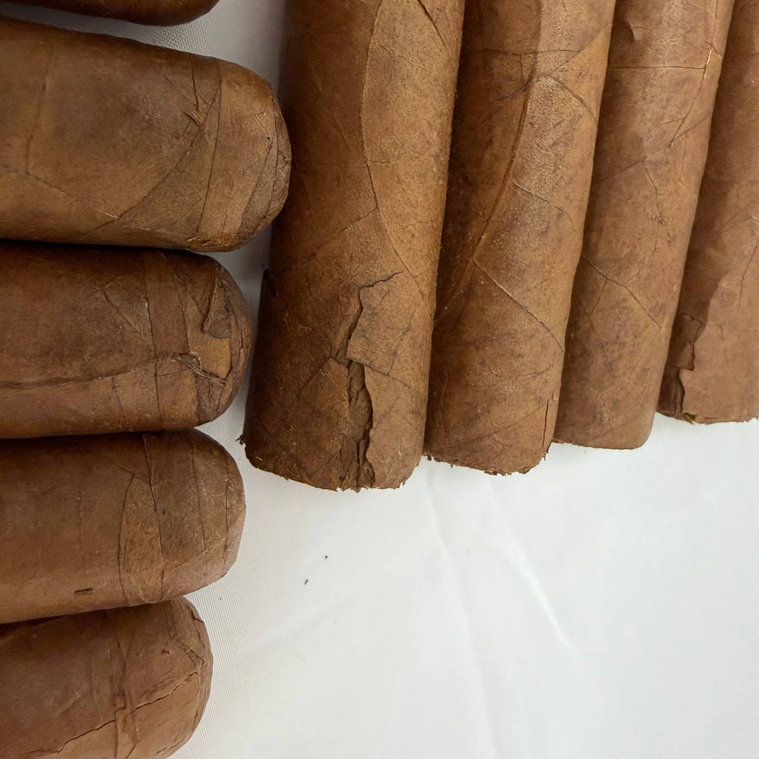 Dominican Cream Toro -Damaged-
